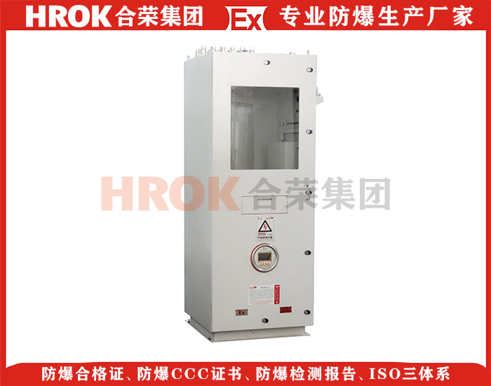 正壓柜62-2 煙氣連續監控系統.JPG